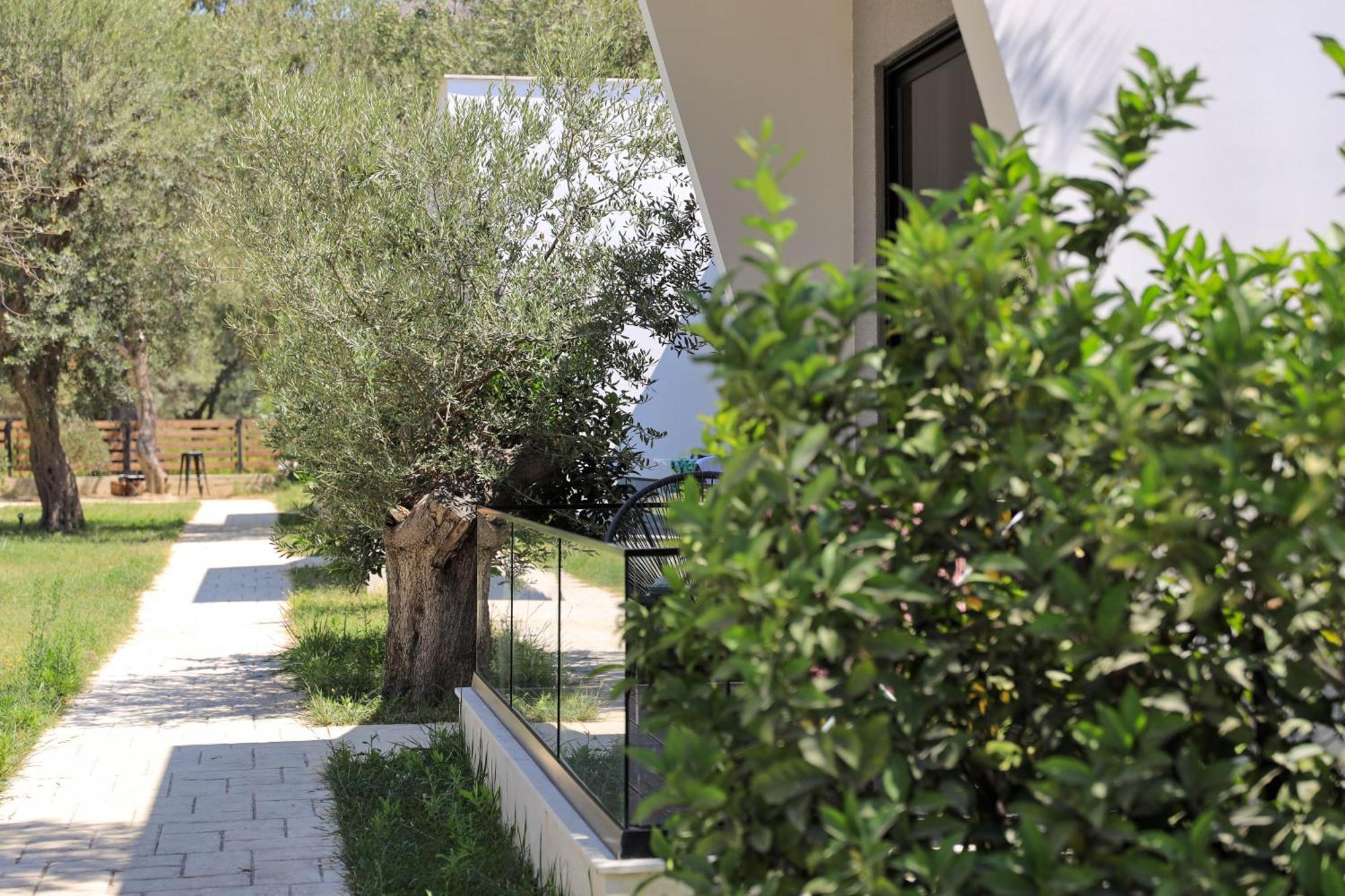 Luna Mare Boutique Seaside Borş Dış mekan fotoğraf